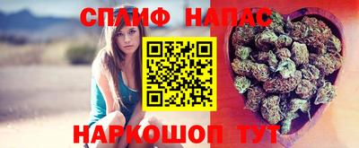 молекула духа Краснознаменск