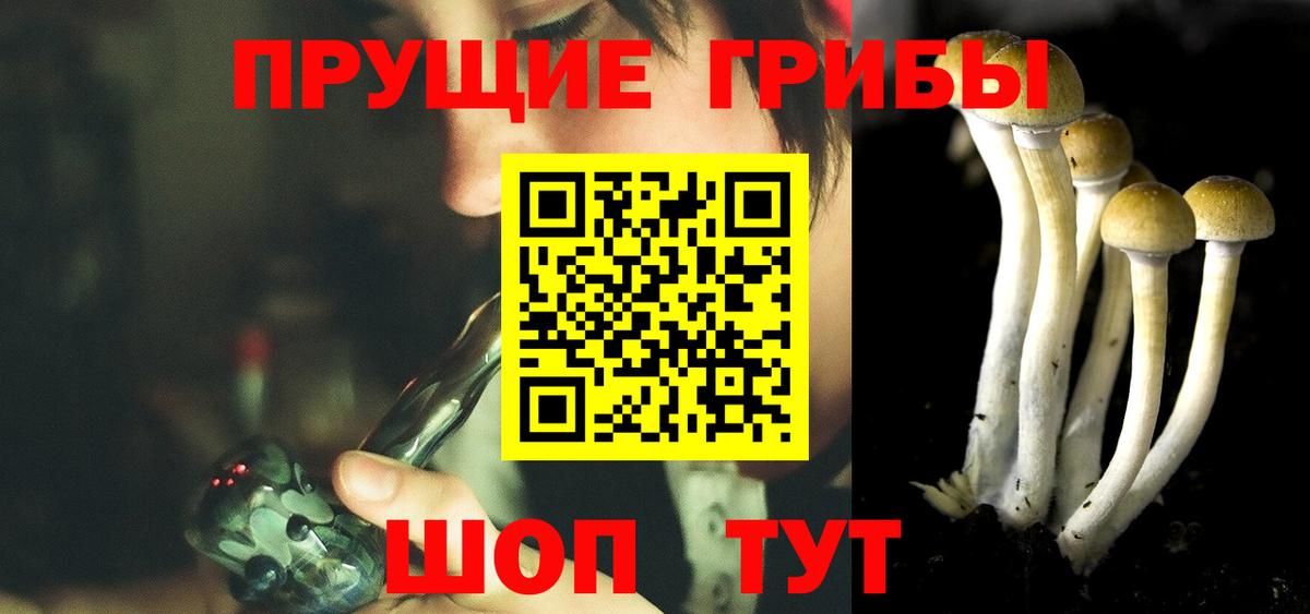 Ирбит  Галлюциногенные грибы Psilocybine cubensis  Вход с VPN 